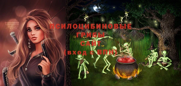 стаф Алексеевка